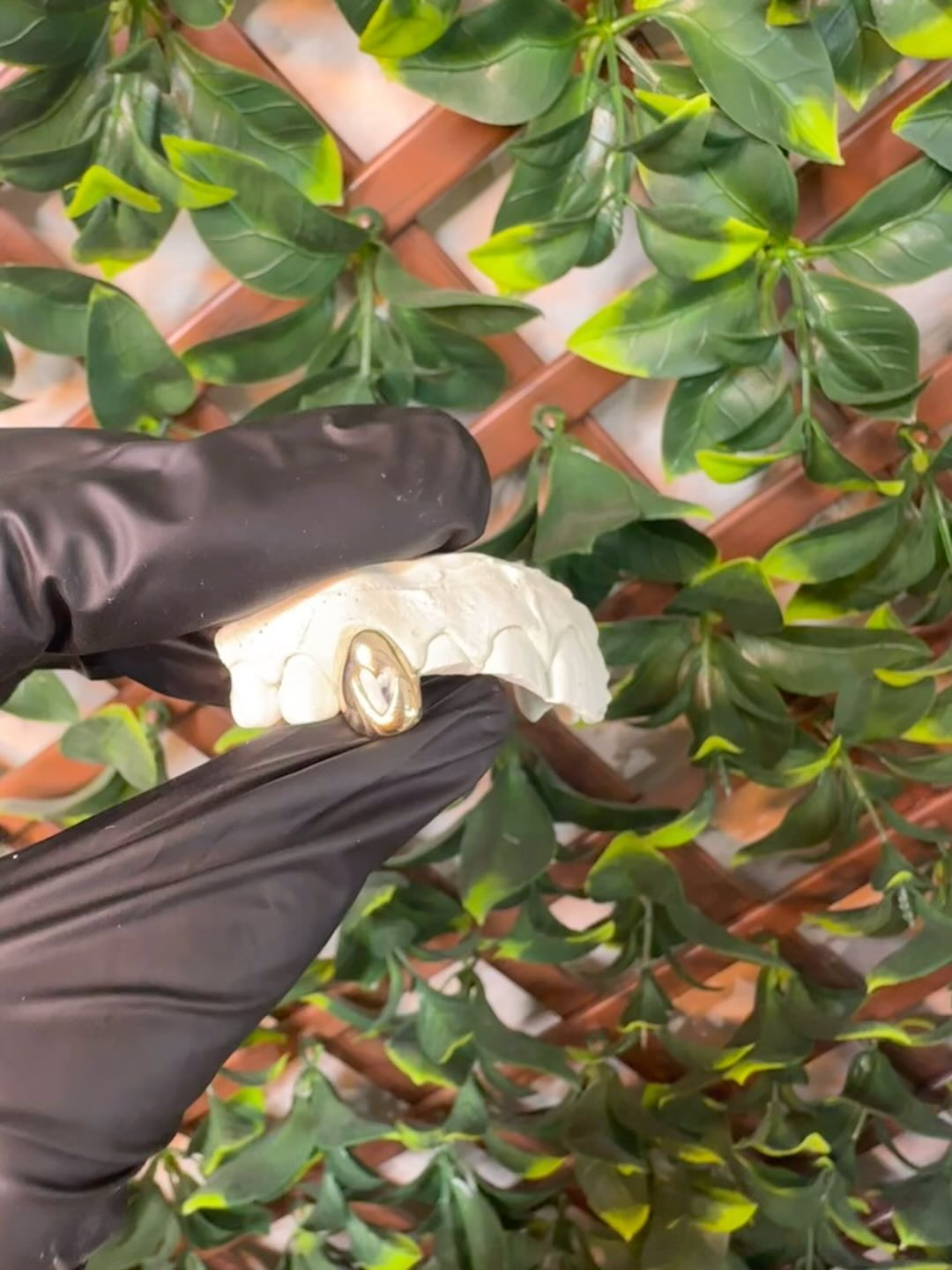 Custom grillz mold against greenery